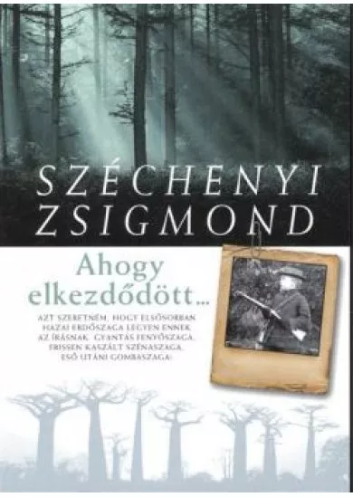 AHOGY ELKEZDŐDÖTT...