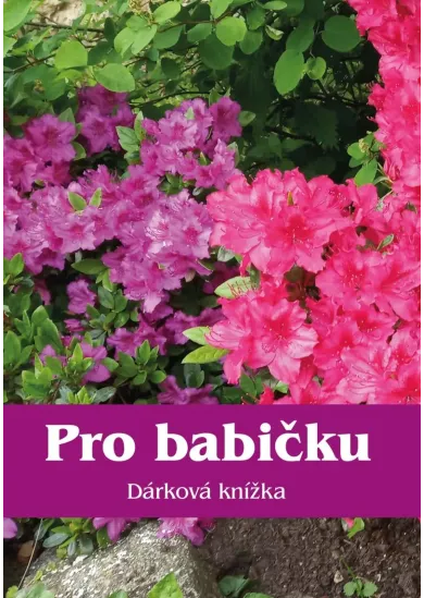 Pro babičku - Dárková knížka