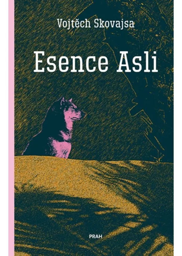 Vojtěch Skovajsa - Esence Asli