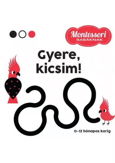 Gyere, kicsim! - Montessori babáknak