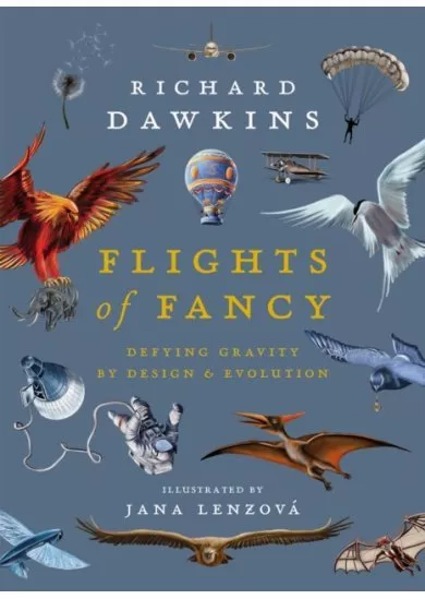 Flights of Fancy