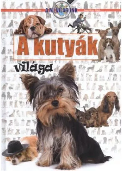 A KUTYÁK VILÁGA