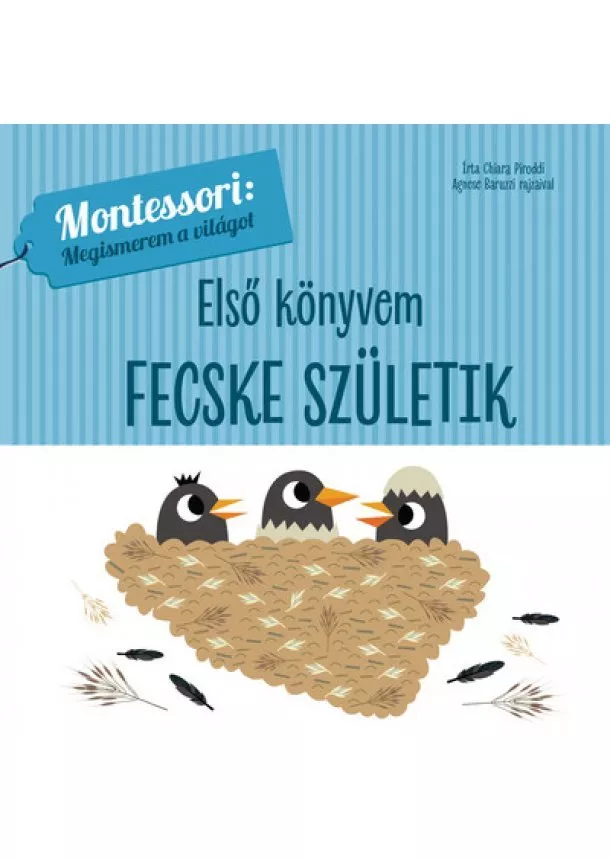 Chiara Piroddi - Első könyvem: Fecske születik - Montessori: Megismerem a világot