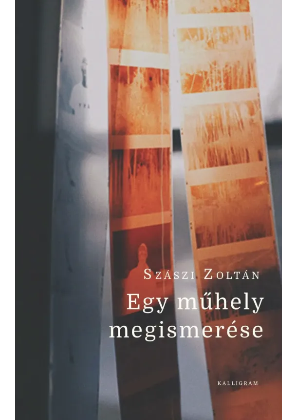 Szászi Zoltán - Egy műhely megismerése