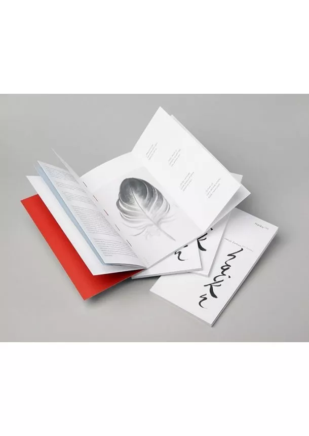 Jakub Zeman - 108 Haiku