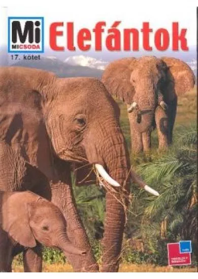 ELEFÁNTOK