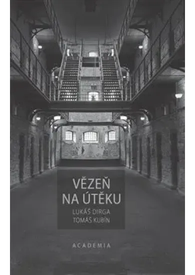 Vězeň na útěku