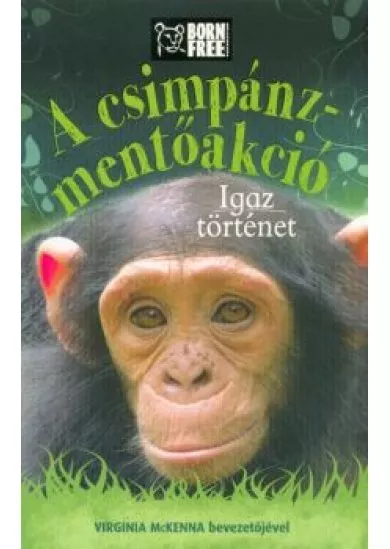 A csimpánz-mentőakció - Igaz történet