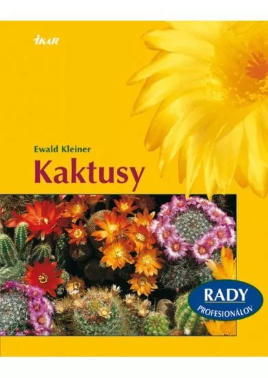 Kaktusy