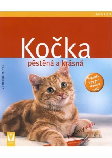 Kočka pěstěná a krásná