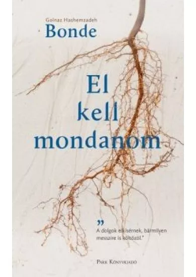 El kell mondanom