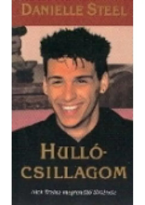 DANIELLE STEEL - HULLÓCSILLAGOM