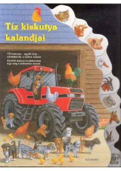 TÍZ KISKUTYA KALANDJAI