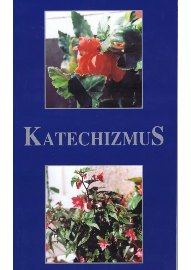 autor neuvedený - Katechizmus