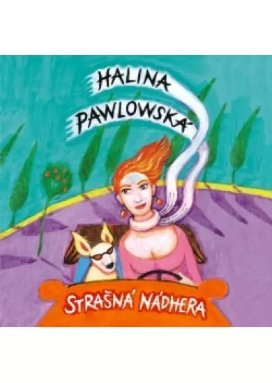 Strašná nádhera (audiokniha)