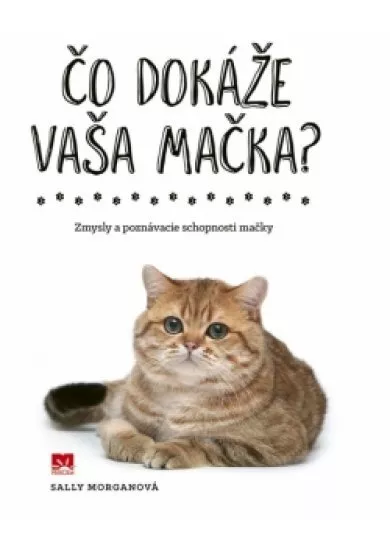 Čo dokáže vaša mačka?