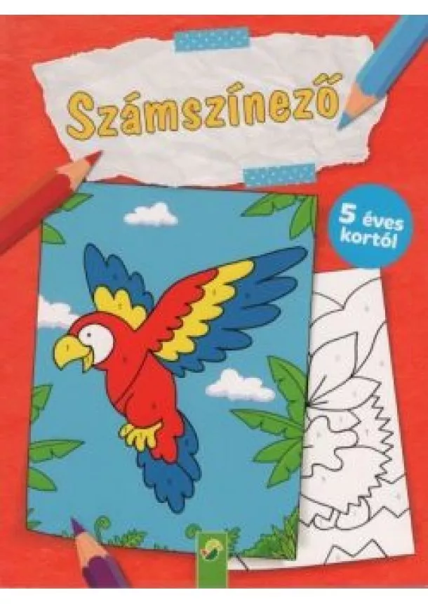 Színező - Számszínező - 5 éves kortól (papagáj)