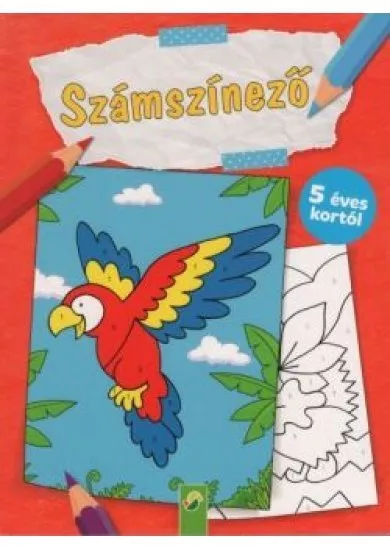 Számszínező - 5 éves kortól (papagáj)