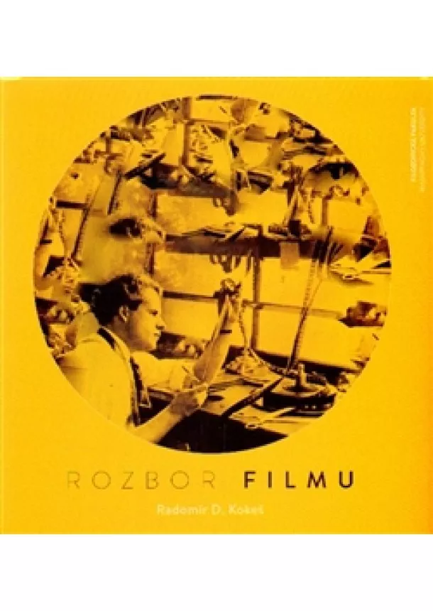 Radomír D. Kokeš - Rozbor filmu