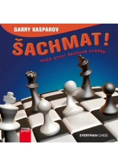 Šachmat! Moje první šachové krůčky