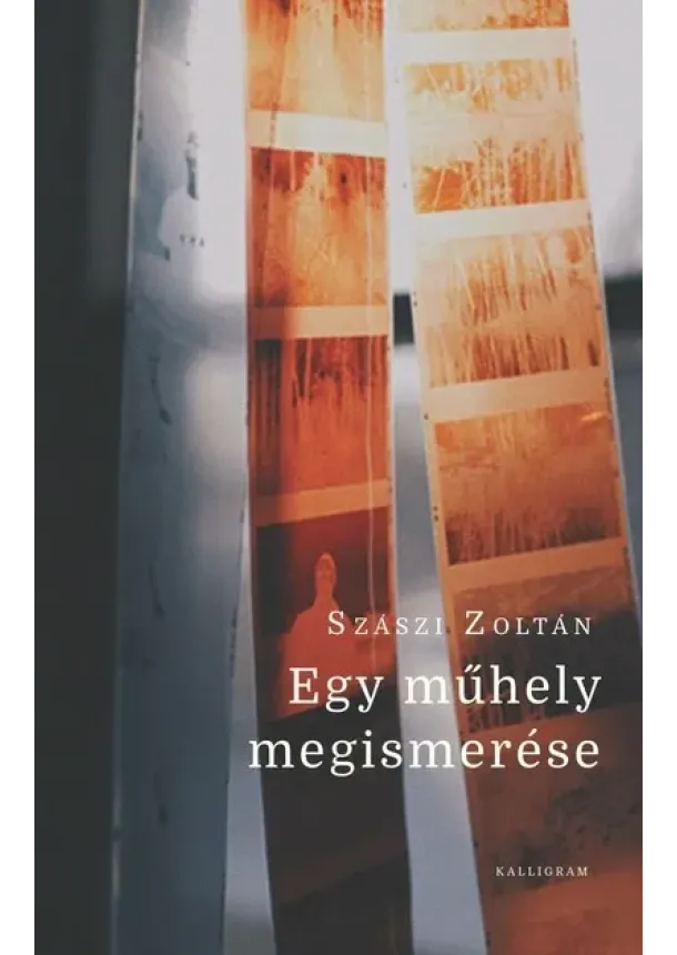 Szászi Zoltán - Egy műhely megismerése