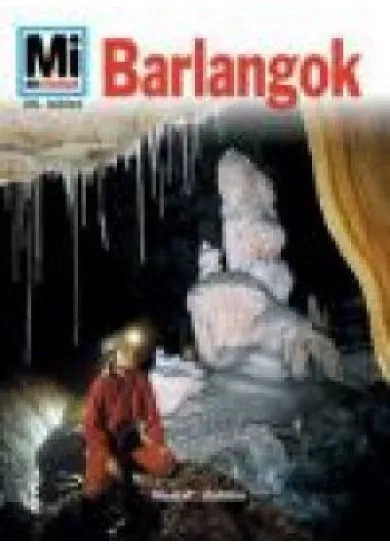 BARLANGOK