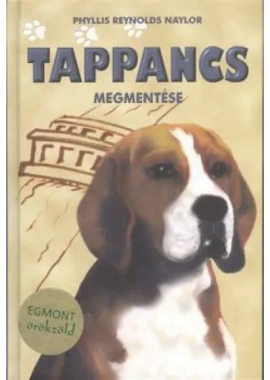 TAPPANCS MEGMENTÉSE