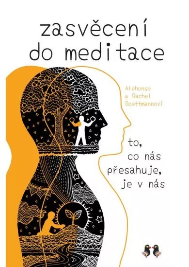 Zasvěcení do meditace