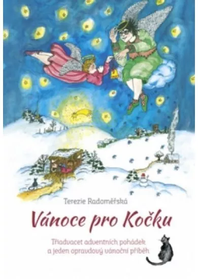 Vánoce pro kočku