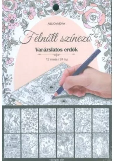 VARÁZSLATOS ERDŐK