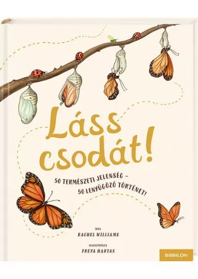 Láss csodát! - 50 természeti jelenség - 50 lenyűgöző történet