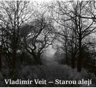 VEIT VLADIMÍR  STAROU ALEJÍ
