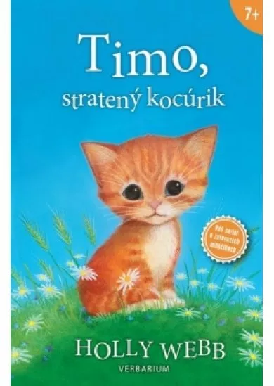 Timo, stratený kocúrik