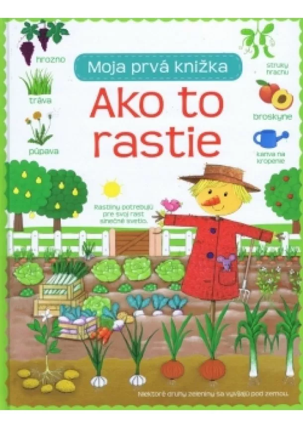 autor neuvedený - Ako to rastie - Moja prvá knižka