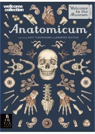 Anatomicum
