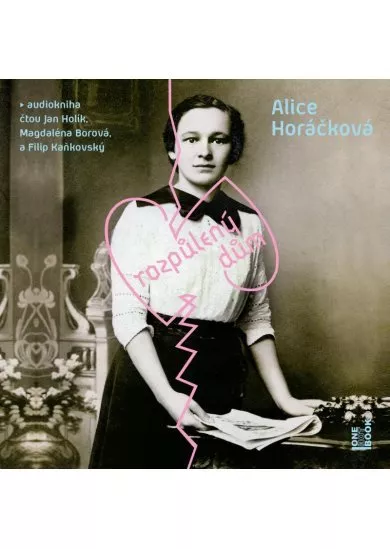 VARIOUS /  HORÁČKOVÁ ALICE  ROZPŮLENÝ DŮM (MP3-CD)