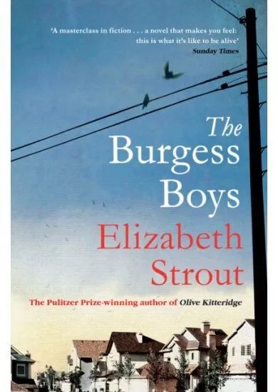 The Burgess Boys