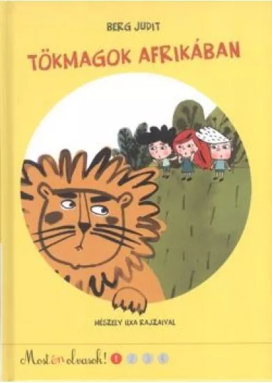 TÖKMAGOK AFRIKÁBAN