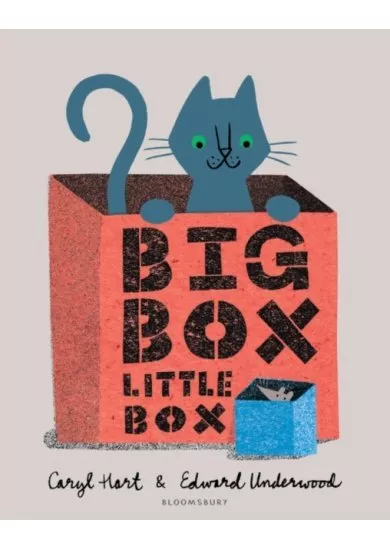 Big Box Little Box
