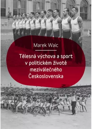 Tělesná výchova a sport v politickém životě meziválečného Československa