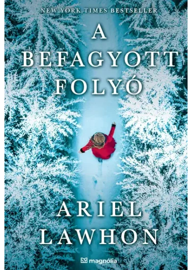 A befagyott folyó