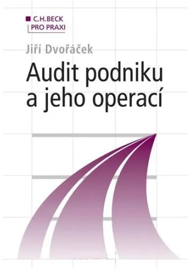 Audit podniku a jeho operací