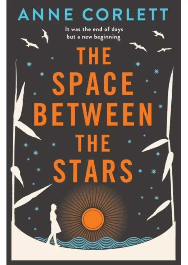 Anne Corlett - The Space Between the Stars