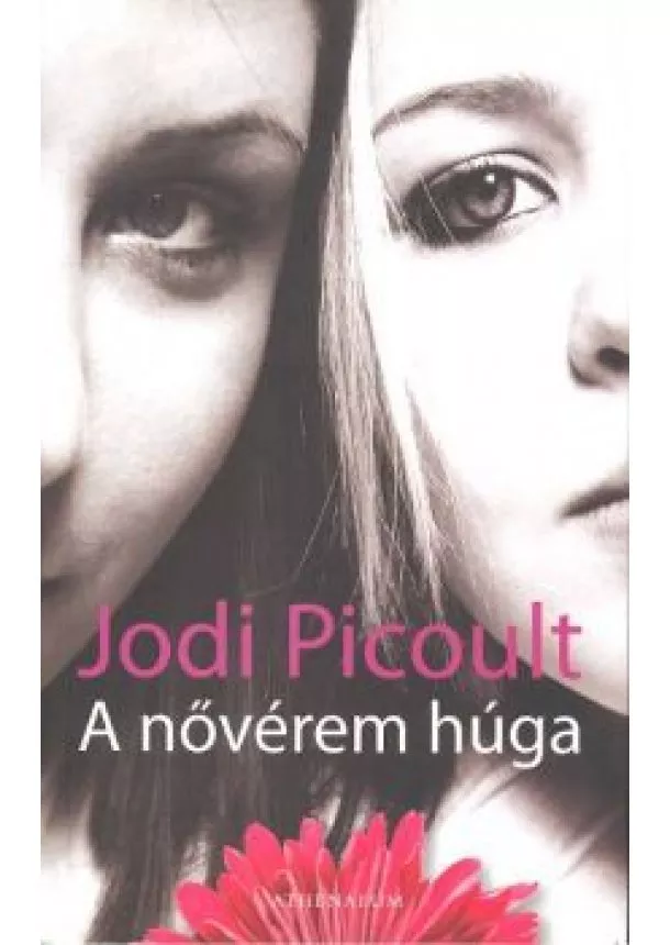 JODI PICOULT - A NŐVÉREM HÚGA