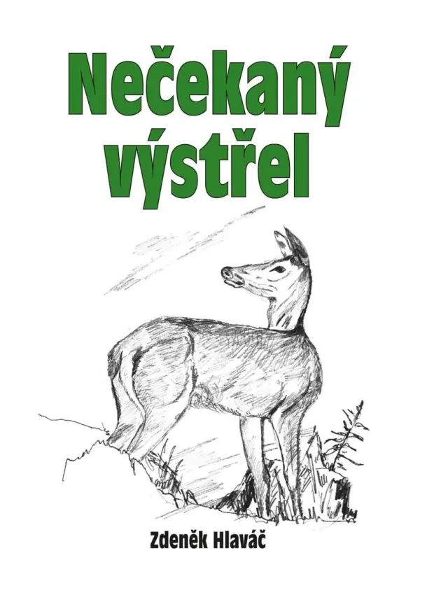 Nečekaný výstřel