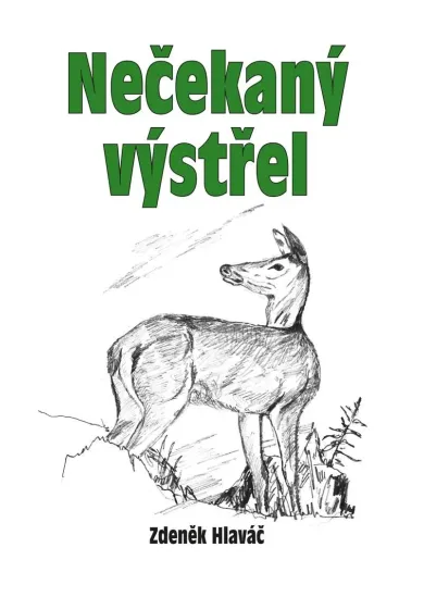 Nečekaný výstřel