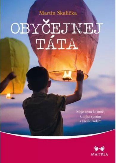 Obyčejnej táta - Moje cesta ke mně, k mým synům a všemu kolem