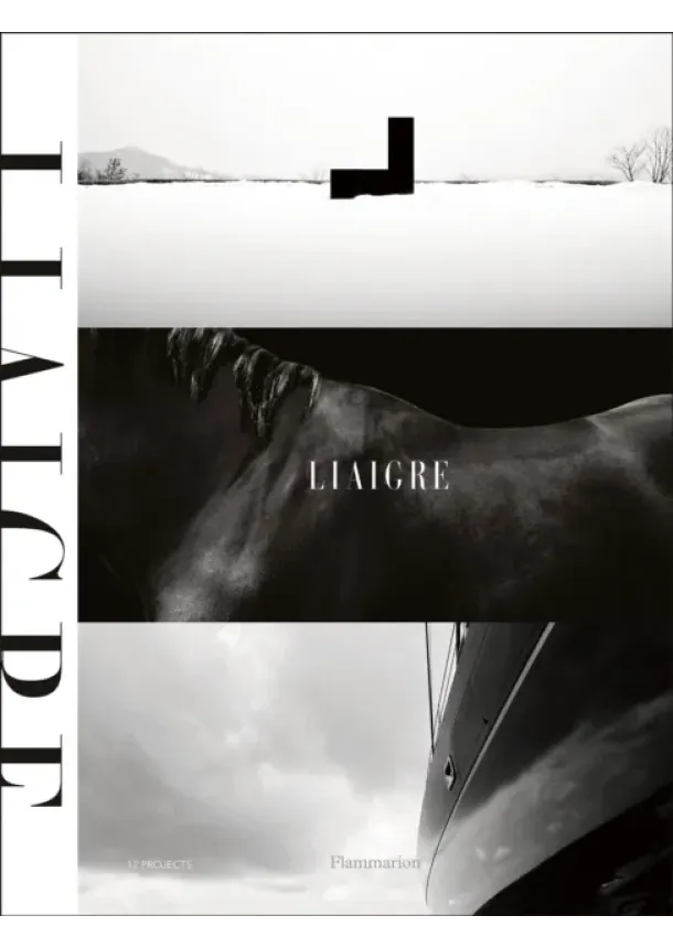Christian Liaigre - Liaigre: 12 Projects