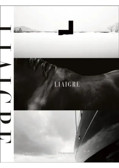 Liaigre: 12 Projects