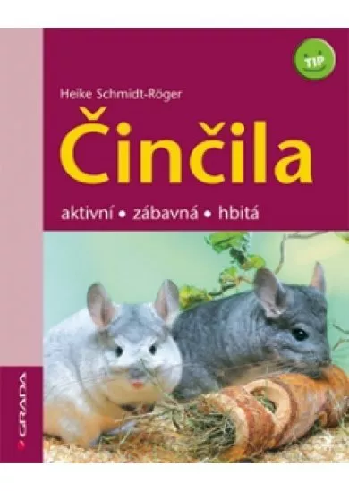 Činčila - aktivní,zábavná,hbitá